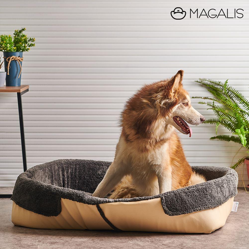 Amazing pet outlet beds